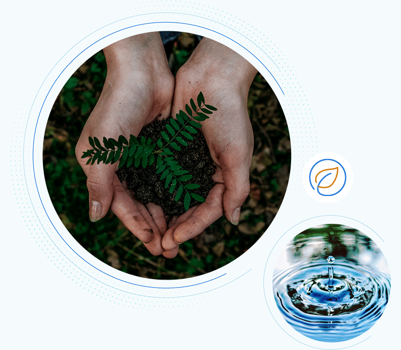 hands-seedling-water-drop
