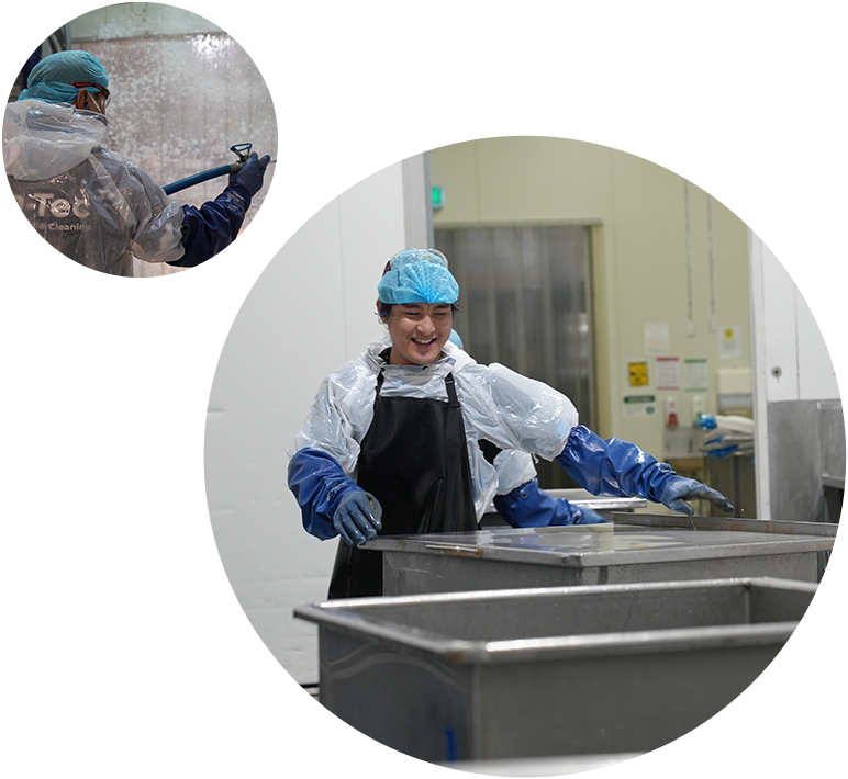Food Production Cleaning Services InTec