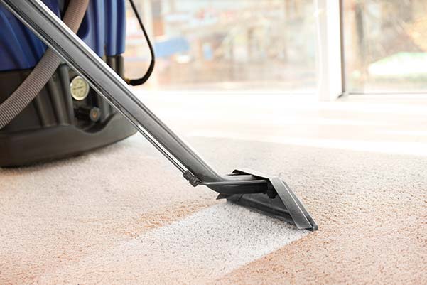 How to Properly Steam Clean a Carpet